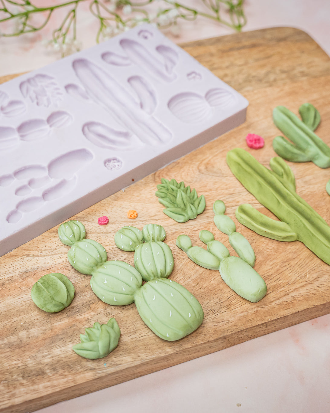 Cactus Garden Silicone Mould