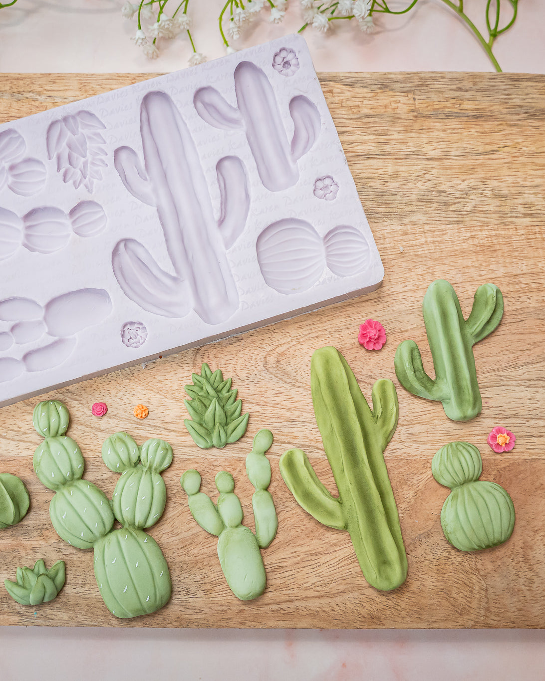 Cactus Garden Silicone Mould