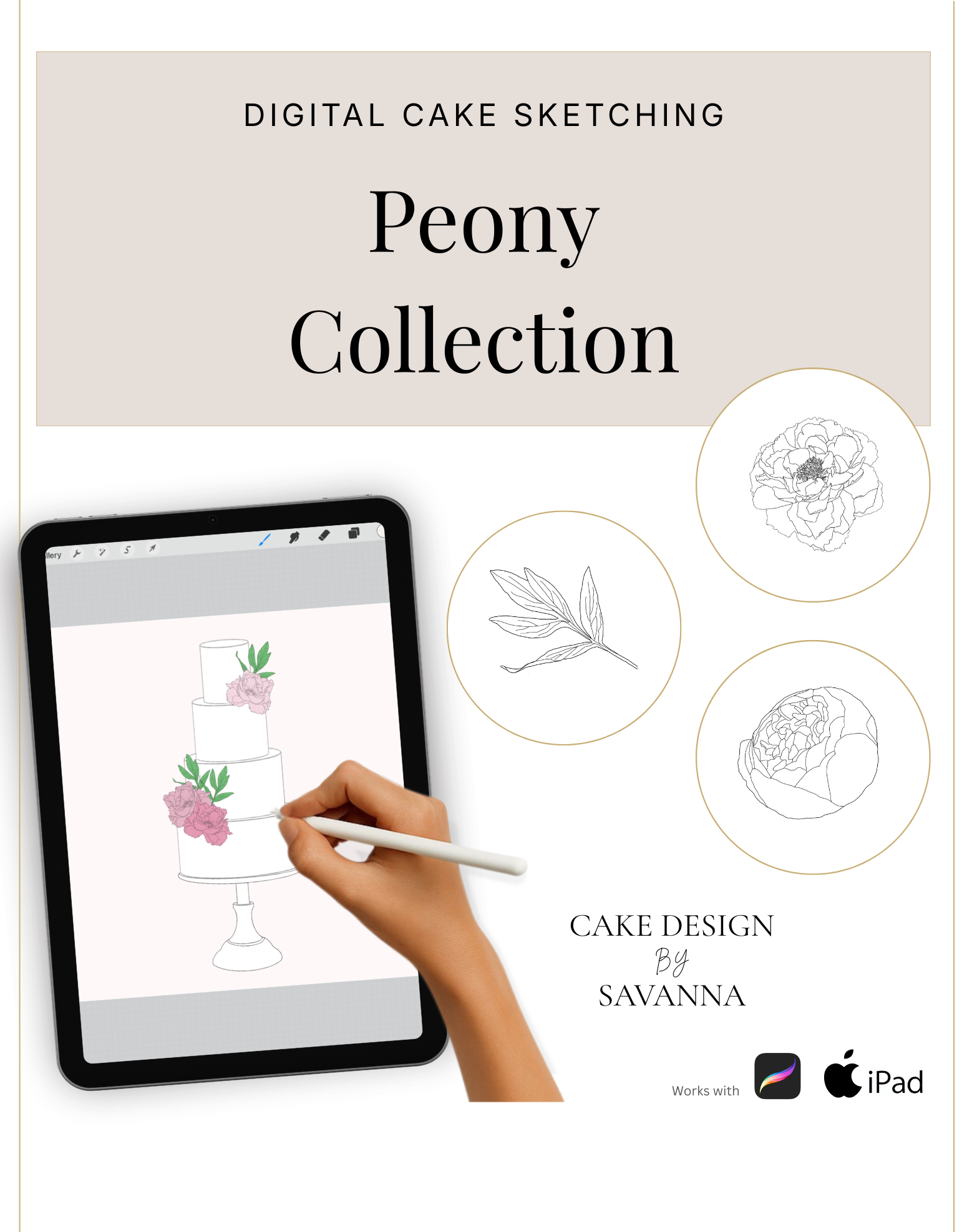Digital Cake Sketching - Peony Flower - Procreate Stamps - Prop Options