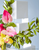 30mm Square Clear Ultra Polished Acrylic Cake Spacer - Prop Options