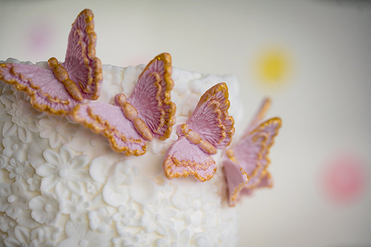 brush embroidery butterflies silicone mould