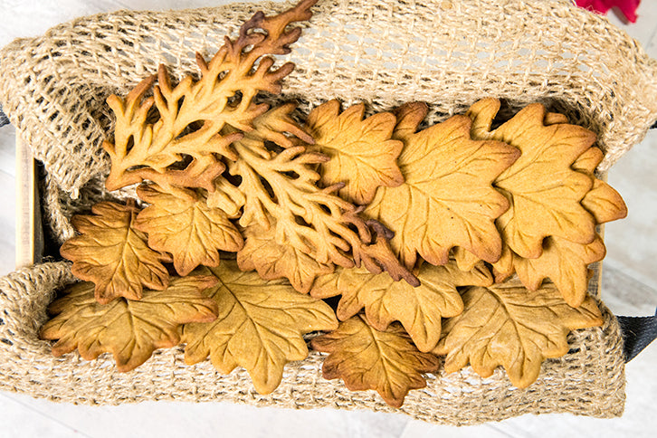 Autumn Leaf Silicone Mould