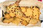Autumn Leaf Silicone Mould