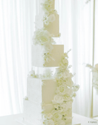 Square Acrylic Fillable Clear Tiers - Prop Options