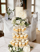 Ultra Adjustable 8 Tier Acrylic Cupcake Display Stand - Prop Options